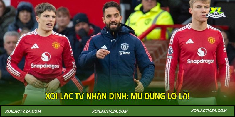 Xoi Lac TV nhận định: HLV Amorim đừng ngủ quên trên chiến thắng! 