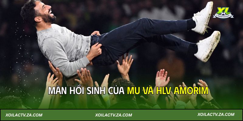 XOILACTV-HLV-AMORIM-HOI-SINH