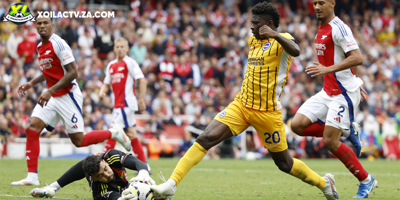 Soi kèo Arsenal vs Brighton chi tiết Soi kèo Arsenal vs Brighton chi tiết