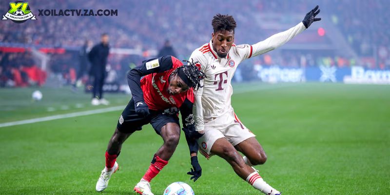 Soi kèo Bayern Munich vs Bayer Leverkusen chi tiết Soi kèo Bayern Munich vs Bayer Leverkusen chi tiết