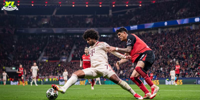 Soi kèo Bayern Munich vs Bayer Leverkusen, 0h30 ngày 2/11 – Vòng 9 Bundesliga
