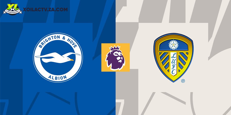Soi kèo Brighton vs Leeds, 22h 1/11 – Vòng 10 EPL