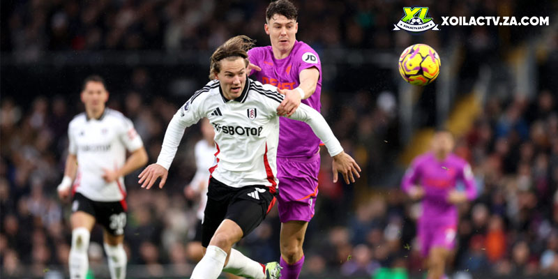 Soi kèo Fulham vs Wolves chi tiết Soi kèo Fulham vs Wolves chi tiết