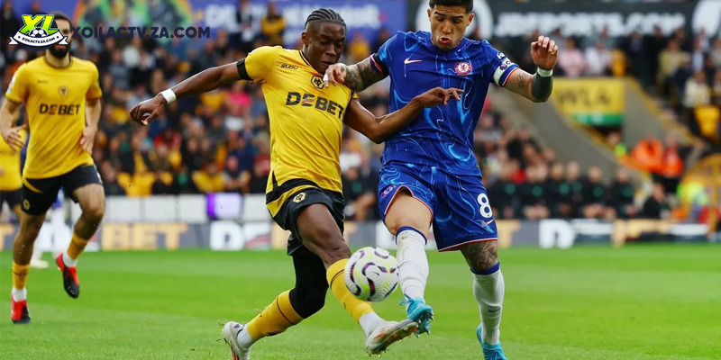 Soi kèo Wolves vs Chelsea chi tiết Soi kèo Wolves vs Chelsea chi tiết