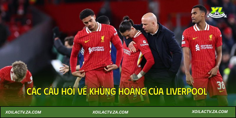 Dàn ngôi sao Liverpool và các câu hỏi về