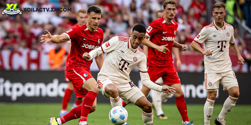 Soi kèo Bayern Munich vs Freiburg chi tiết Soi kèo Bayern Munich vs Freiburg chi tiết