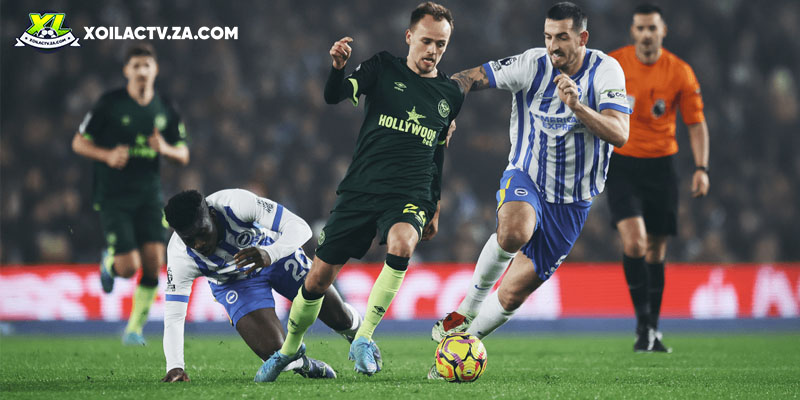 Soi kèo Brighton vs Brentford chi tiết Soi kèo Brighton vs Brentford chi tiết