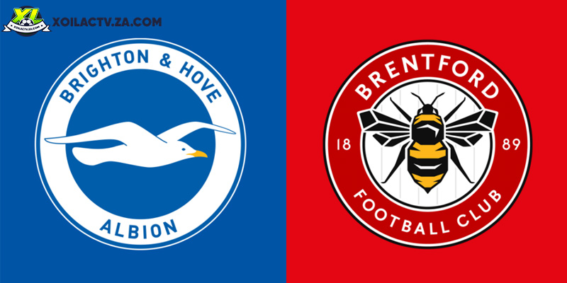 Soi kèo Brighton vs Brentford, 22h00 ngày 22/11 Vòng 12 EPL