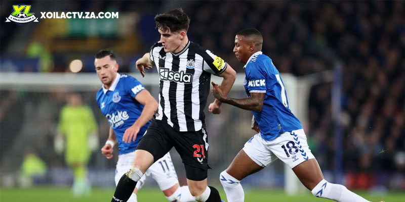 Soi kèo Everton vs Newcastle chi tiết Soi kèo Everton vs Newcastle chi tiết