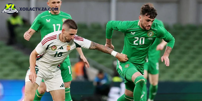 Soi kèo Hungary vs Ireland chi tiết Soi kèo Hungary vs Ireland chi tiết