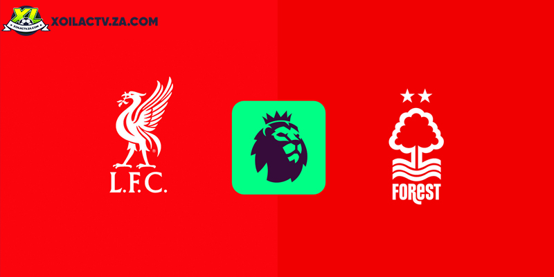 Soi kèo Liverpool vs Nottingham, 22h ngày 22/11 – Vòng 12 EPL