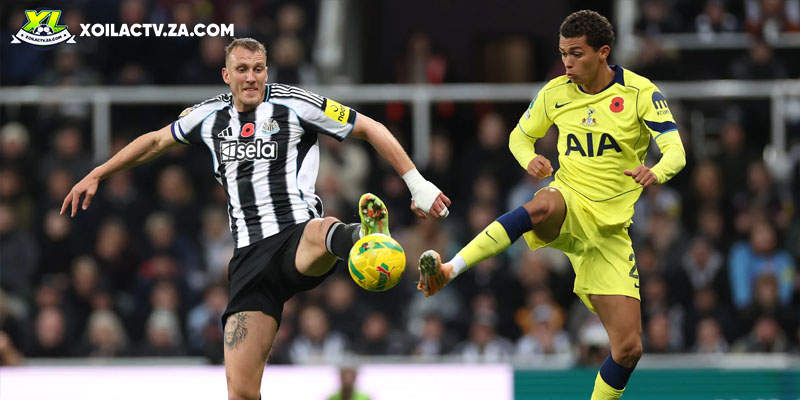 Soi kèo Newcastle vs Tottenham chi tiết Soi kèo Newcastle vs Tottenham chi tiết