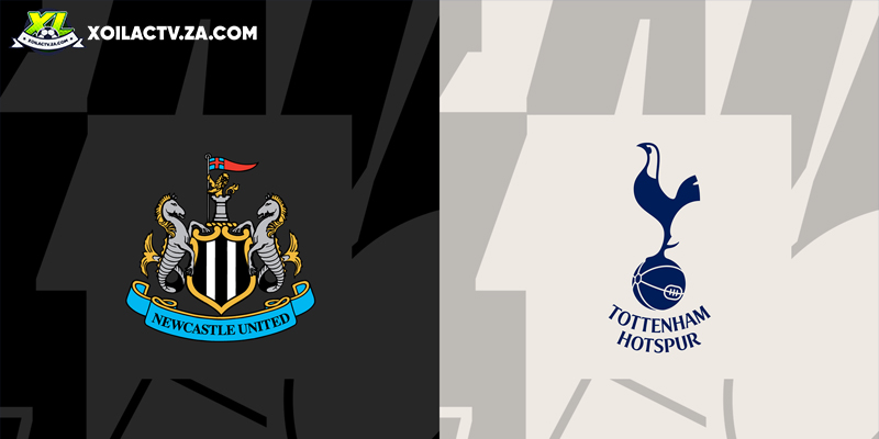 Soi kèo Newcastle vs Tottenham, 3h15 ngày 3/12 – Vòng 14 Ngoại hạng Anh