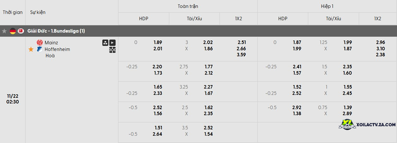 Tỷ lệ kèo trận đấu Mainz vs Hoffenheim Tỷ lệ kèo trận đấu Mainz vs Hoffenheim