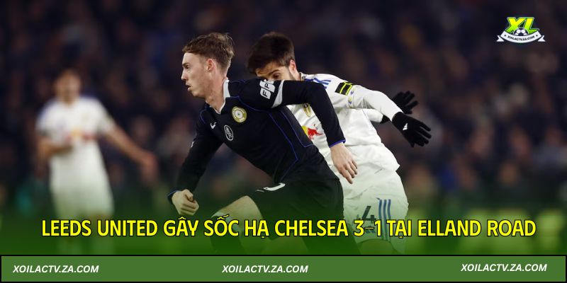 Leeds United gây sốc hạ Chelsea 3-1 tại Elland Road