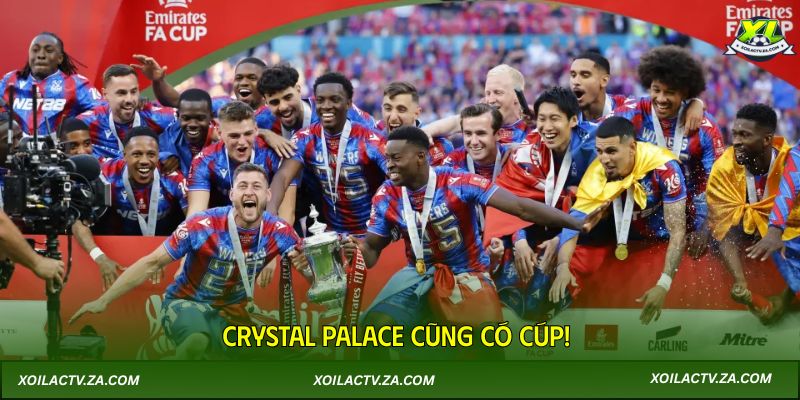 Crystal Palace cũng có cúp!