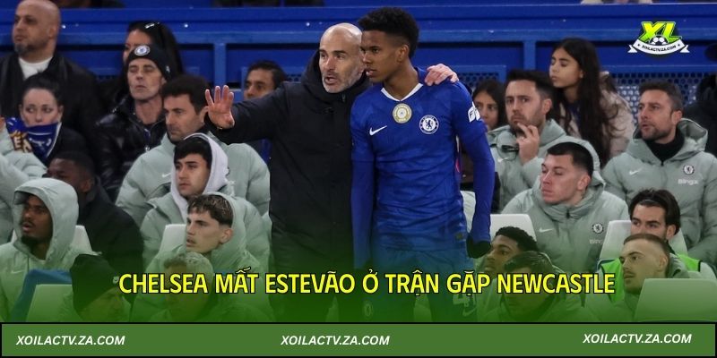 Chelsea mất Estevão ở trận gặp Newcastle