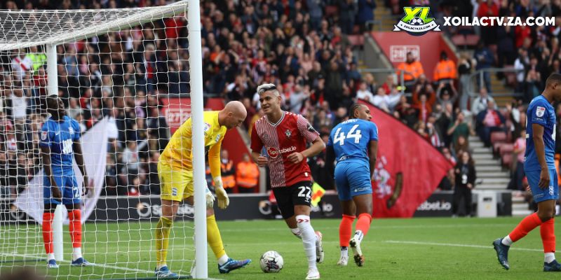 Soi kèo Birmingham vs Southampton chi tiết Soi kèo Birmingham vs Southampton chi tiết