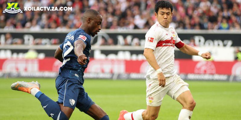 Dự đoán kết quả Bochum vs Stuttgart Dự đoán kết quả Bochum vs Stuttgart