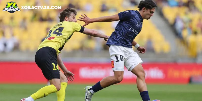Soi kèo Central Coast Mariners vs Brisbane Roar chi tiết Soi kèo Central Coast Mariners vs Brisbane Roar chi tiết