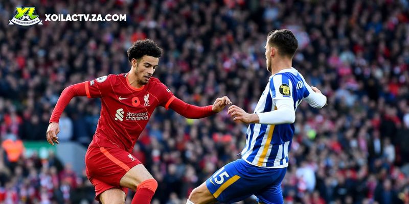 Soi kèo Liverpool vs Brighton