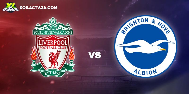 Soi kèo Liverpool vs Brighton, 22h 13/12 – Premier League