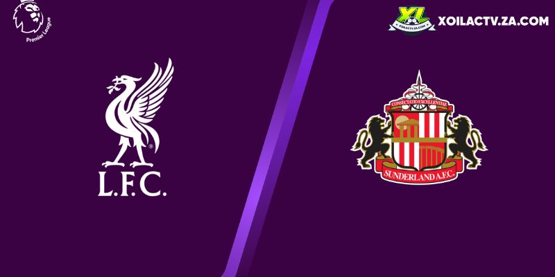 Soi kèo Liverpool vs Sunderland chi tiết Soi kèo Liverpool vs Sunderland chi tiết