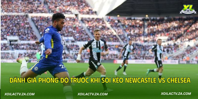 Đánh giá phong độ trước khi soi kèo Newcastle vs Chelsea
