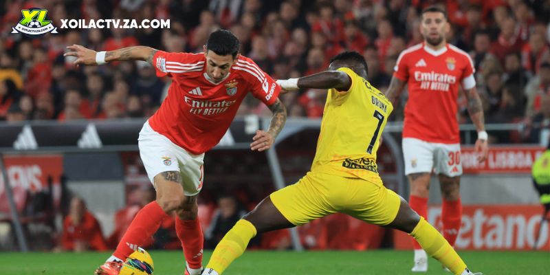 Soi kèo Sporting Braga vs Benfica chi tiết Soi kèo Sporting Braga vs Benfica chi tiết