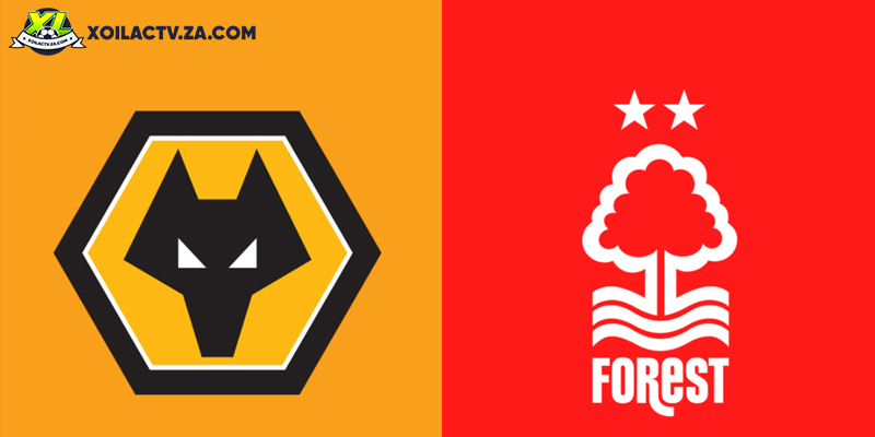 Soi kèo Wolves vs Nottingham, 2h30 ngày 4/12 – Vòng 14 Ngoại hạng Anh