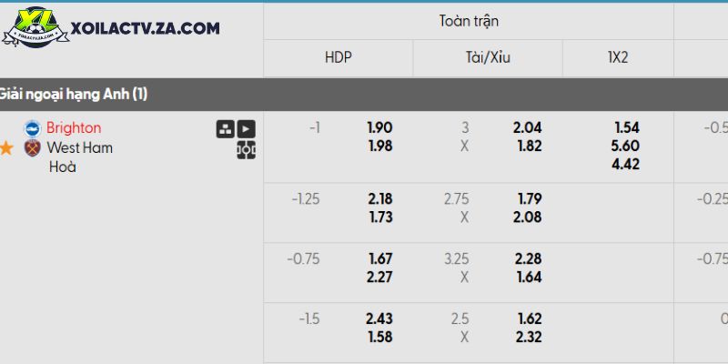 Tỷ lệ kèo Brighton vs West Ham Tỷ lệ kèo Brighton vs West Ham