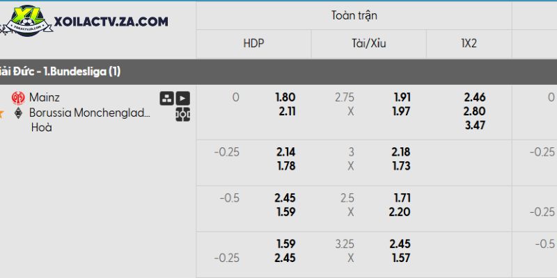 Tỷ lệ kèo Mainz 05 vs Monchengladbach Tỷ lệ kèo Mainz 05 vs Monchengladbach