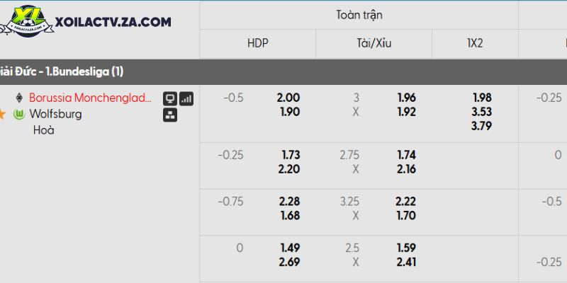 Tỷ lệ kèo Monchengladbach vs Wolfsburg Tỷ lệ kèo Monchengladbach vs Wolfsburg