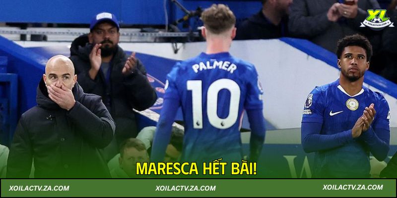 Maresca hết bài!
