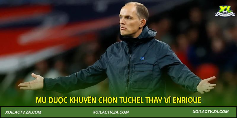 MU được khuyên chọn Tuchel thay vì Enrique