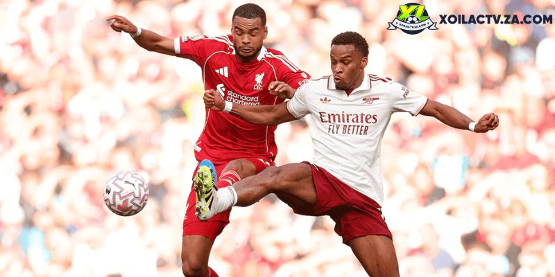 Soi kèo Arsenal vs Liverpool chi tiết Soi kèo Arsenal vs Liverpool chi tiết