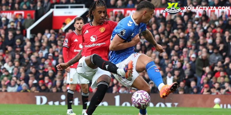 Soi kèo Man Utd vs Brighton chi tiết Soi kèo Man Utd vs Brighton chi tiết