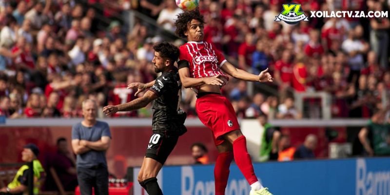 Soi kèo Freiburg vs Hamburg chi tiết Soi kèo Freiburg vs Hamburg chi tiết