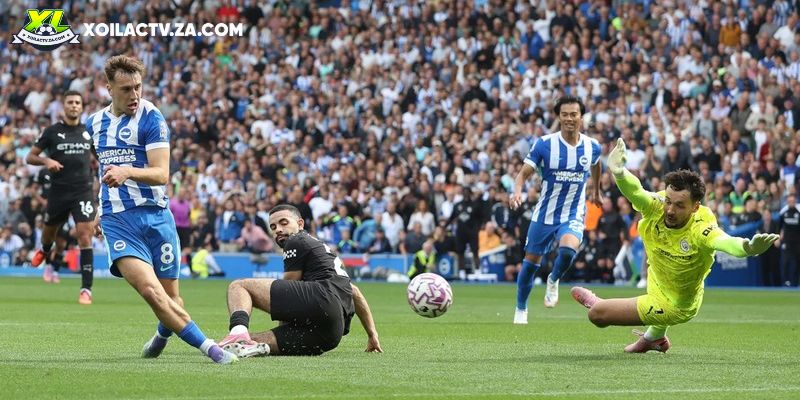 Soi kèo Manchester City vs Brighton chi tiết Soi kèo Manchester City vs Brighton chi tiết