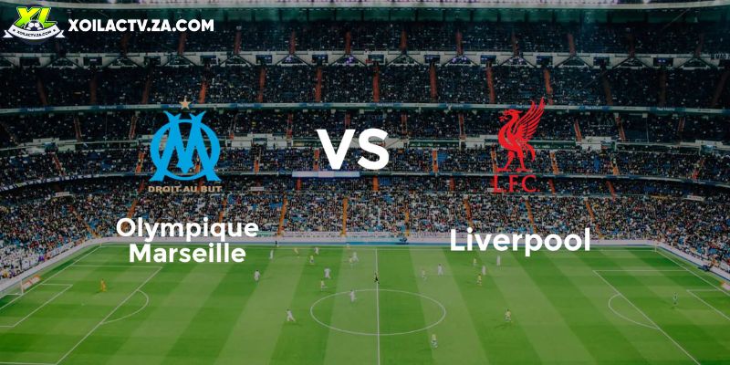 Soi kèo Marseille vs Liverpool, 3h ngày 22/1 – Cúp C1