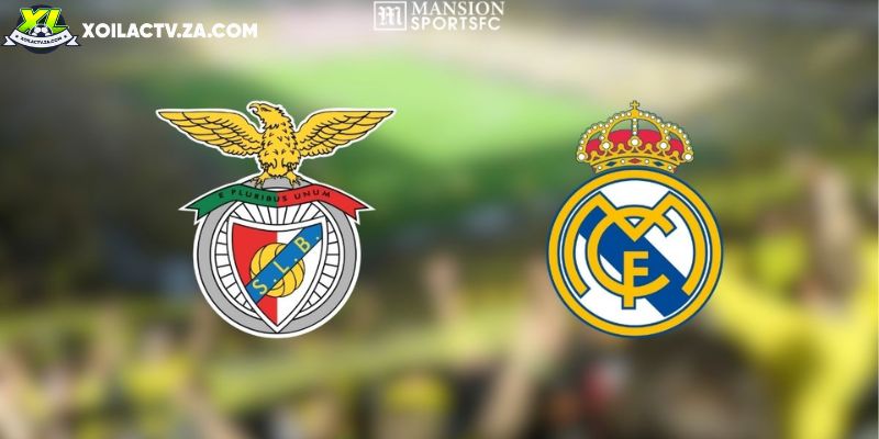 Soi kèo Benfica vs Real Madrid, 3h ngày 29/01 – C1