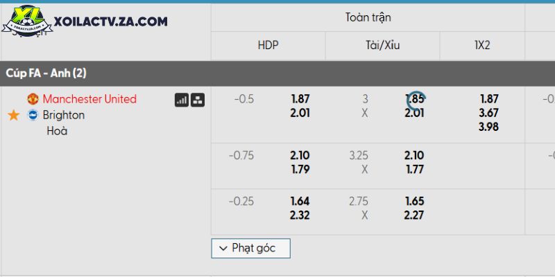 Tỷ lệ kèo Man Utd vs Brighton Tỷ lệ kèo Man Utd vs Brighton